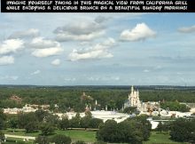 Contemporary Resort, California Grill, Brunch, Magic Kingdom View