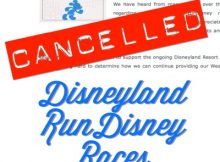 Disneyland Races Cancelled