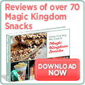 Disney Food Blog Guide to Magic Kingdom Snacks