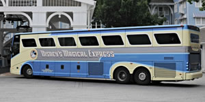 Walt Disney World current promo