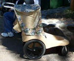 Animal Kingdom rental stroller