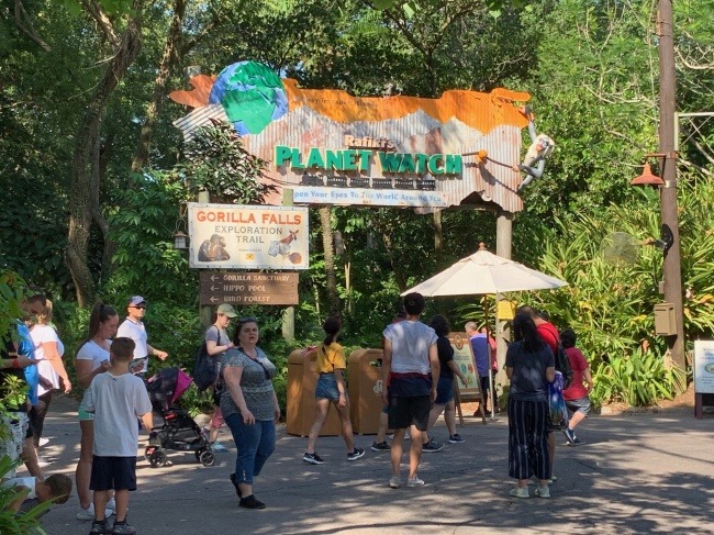 Rafiki's Planet Watch