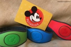 Annual Passholder