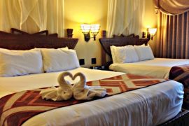 Disney's Animal Kingdom Lodge