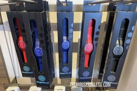MagicBand+