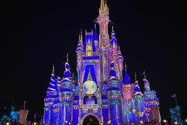 Magic Kingdom - Evening