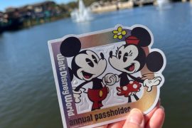 Walt Disney World Annual Pass