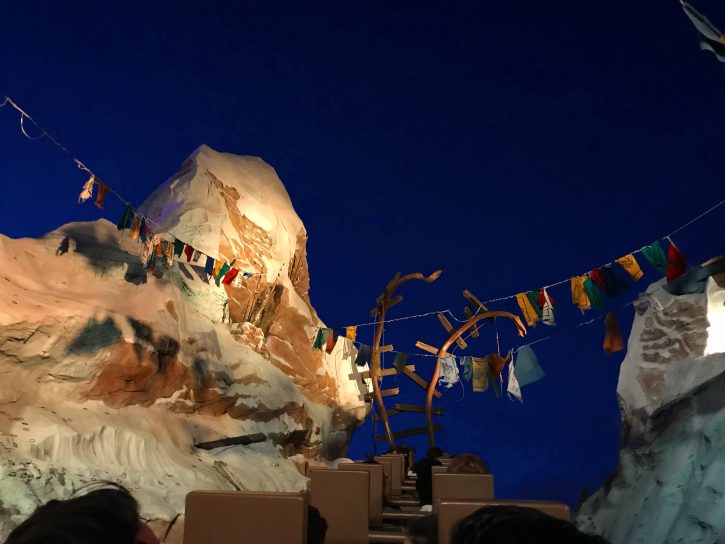 Expedition Everest | roller coasters