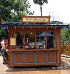 Mini Donut Blizzard Beach