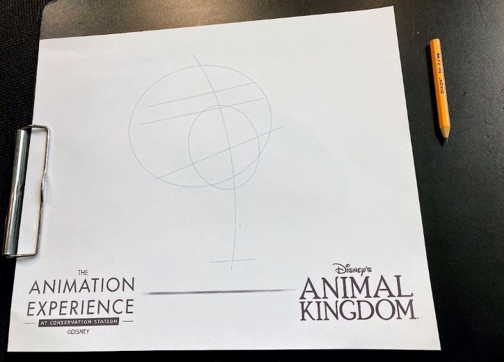Animal Kingdom Animation Class