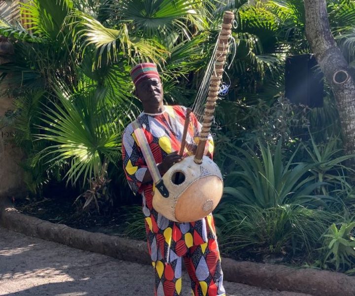 Animal Kingdom Live Entertainment