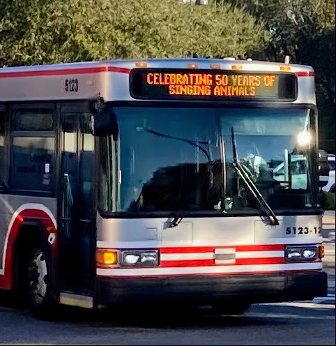 Walt Disney World Bus Transportation Method