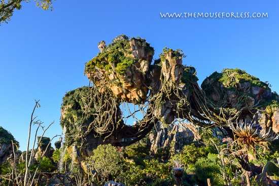Avatar Flight of Passage