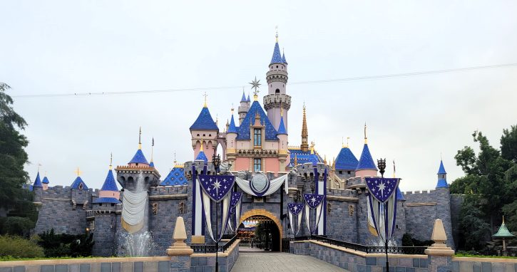Disneyland Visa Special