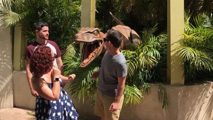 Raptor Encounter