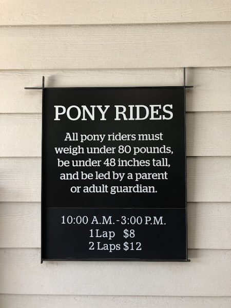 Pony Rides Fort Wilderness