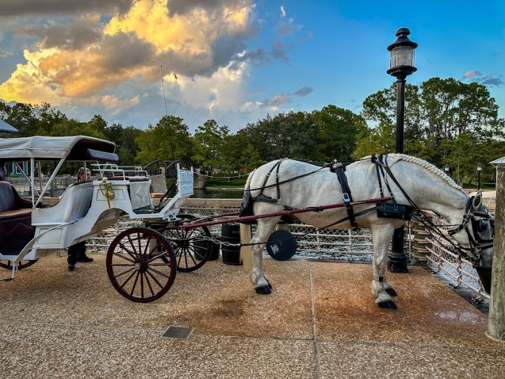 Carriage Rides