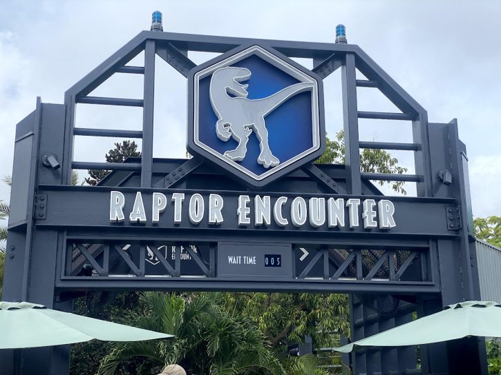 Raptor Encounter