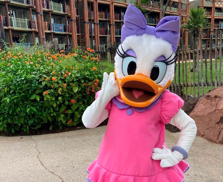 Daisy at Animal Kingdom Lodge