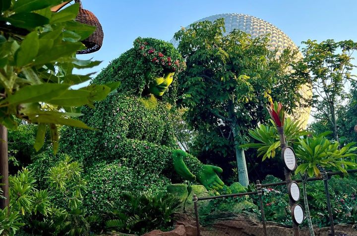 Disney World in the Summer