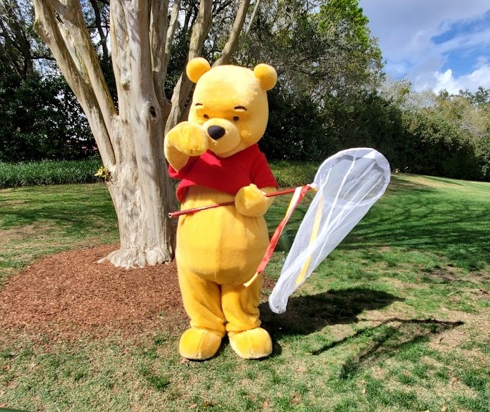 Winnie the Pooh