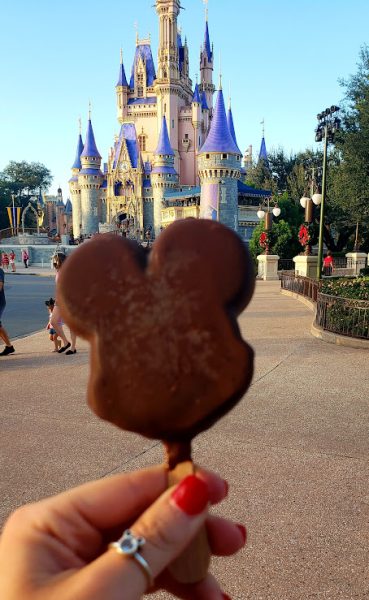 Magic Kingdom Snack