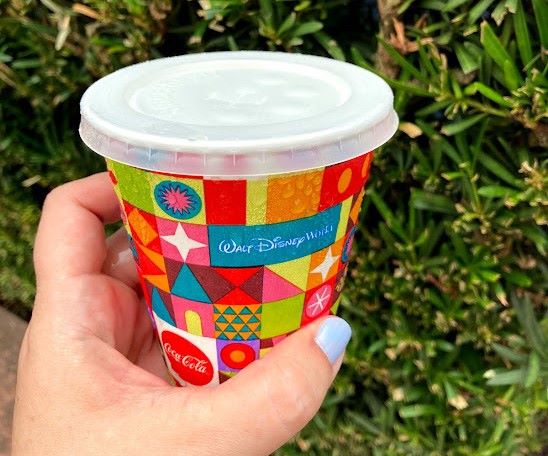 Free Ice Water Walt Disney World