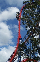 100_0502