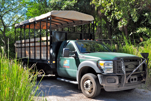 Wild Africa Trek tour vehicle
