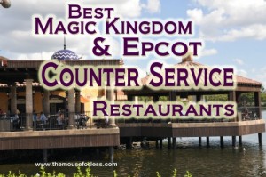Best Magic Kingdom and Epcot Counter Service
