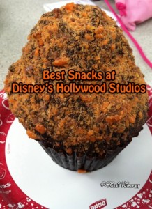 Best Snacks at Disney's Hollywood Studios