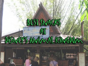 Best Snacks at Disney's Animal Kingdom