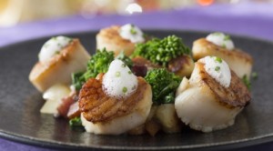 ©Disney diver sea scallops (have I mentioned what a sucker I am for scallops?)