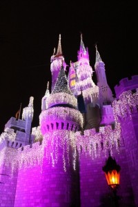 Magic Kingdom Castle aglow in Christmas lights