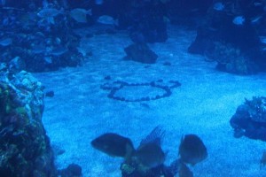 Mickey Head under Water