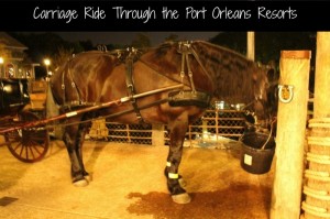 Carriage ride at Port Orleans