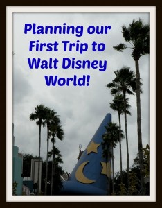 Disney Hollywood Studios