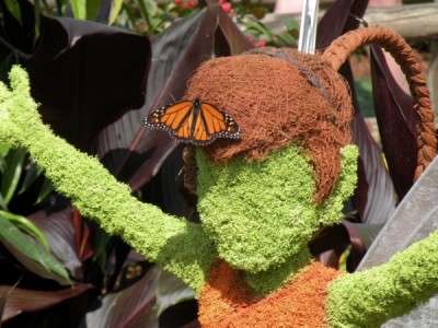 Butterflies hanging out on topiaries