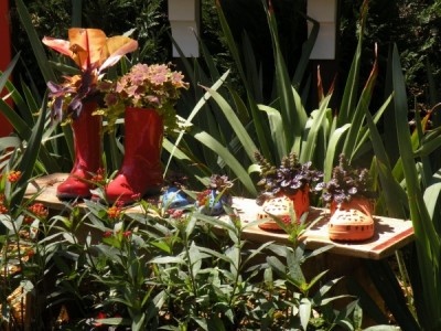 Using old shoes and boots for planting