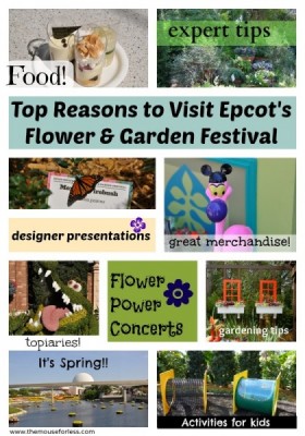 Top Ten Reasons to Visit Flower & Garden Festival