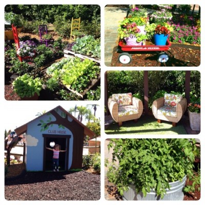 Backyard Garden