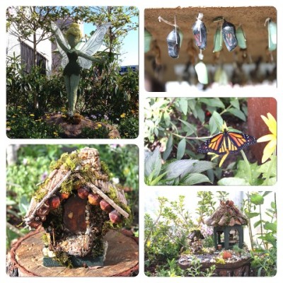 Tinker Bell's Butterfly Garden