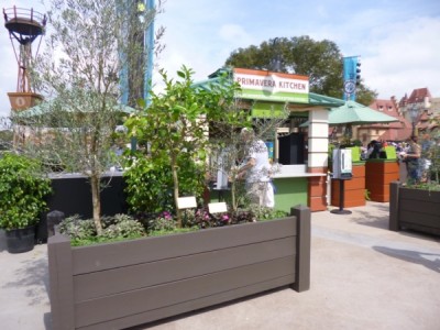 Flower and Garden Outdoor Kitchens (2)