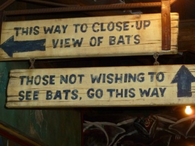 maharajah bat sign