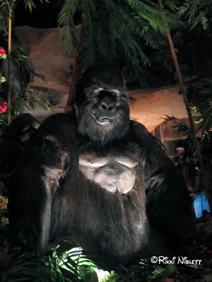 Foodie Friday: Breakfast at Rainforest Cafe at Disney's Animal Kingdom