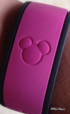 MagicBand2