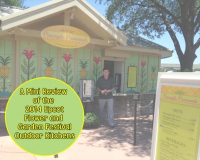 A Mini Review of the 2014 Epcot Flower and Garden Festival Outdoor Kitchens