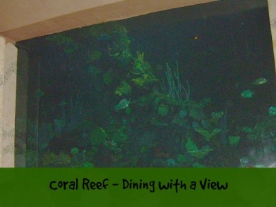 Coral Reef