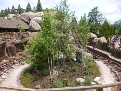 Seven Dwarfs Mine Train (1)