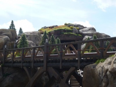 Seven Dwarfs Mine Train (15)